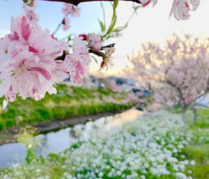 言葉の大切さ　大天使ガブリエル　メッセージ